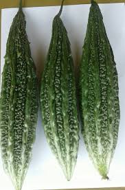 M Bitter Gourd