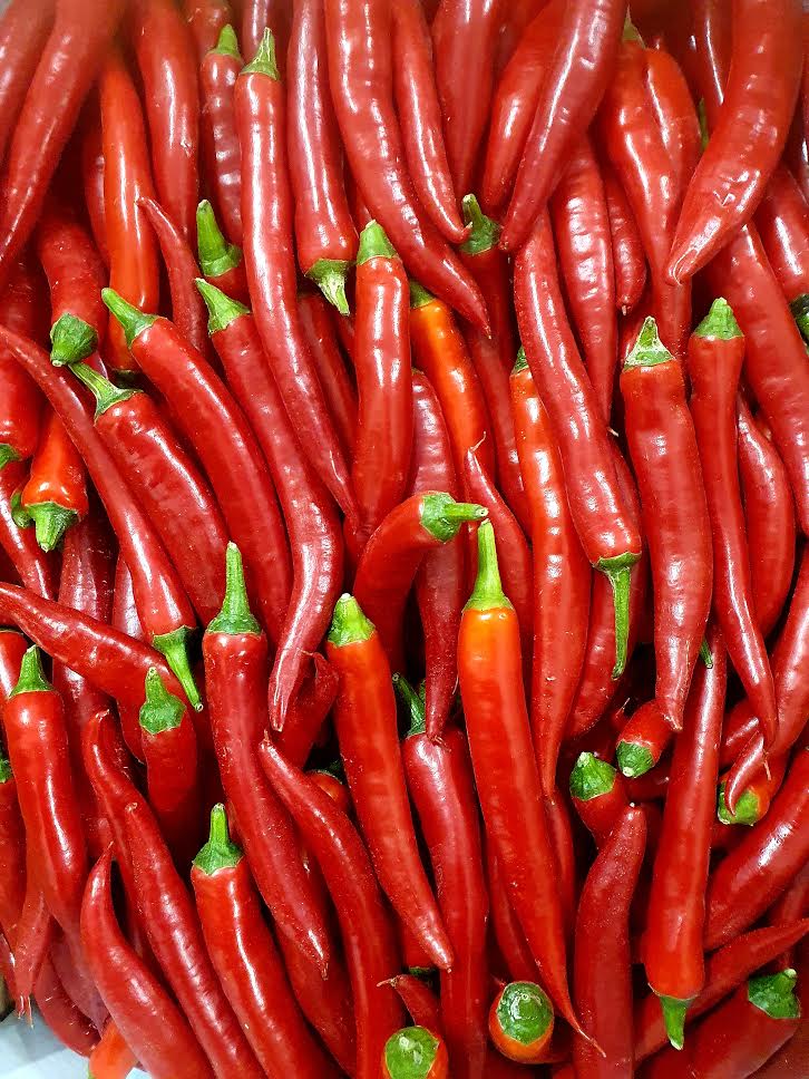 chilli red